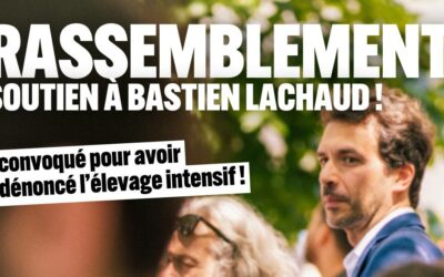 Total soutien à Bastien Lachaud