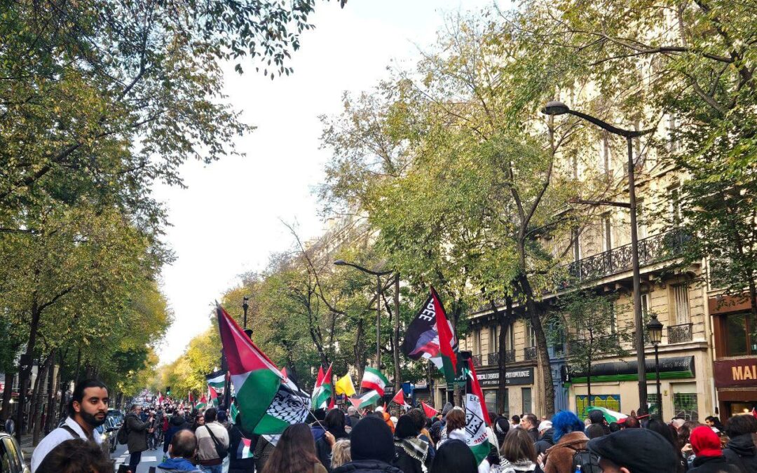 🕊 Rassemblement pour le Liban et la Palestine.